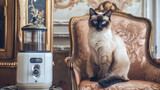 Fototapeta Most - A majestic Siamese cat seated in a regal pose on a vintage armchair, eyeing a sophisticated, timed-release food dispenser that blends seamlessly with the luxurious decor of the room.