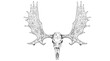 Moose skull vector illustration