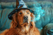 A Golden Retriever wearing a wizard hat, casting a magic spell.