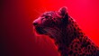   A crisp close-up of a Cheetah's expressive face against a bold red backdrop, illuminated by an intense red light behind
