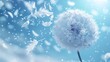   A dandelion drifts in wind, blue sky backdrop, white feathers airborne
