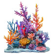 Coral reef on transparent background, png	