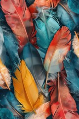 Poster - Colorful Feathers Close Up