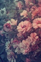 Poster - Pink Flowers Close-Up