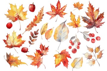 Poster - Autumn Leaves and Berries Collection