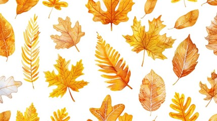 Poster - Colorful Leaves on White Background