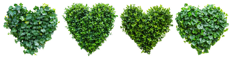 Canvas Print - Set of heart shape green bush cutout clipping path png isolated on white or transparent background