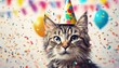 'confetti postcard congratulation cat Animal celebration brush-drawn style birthday party happy balloons hat pet kitten celebrate admire festive conf'