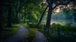 The Serene Solitude of Early Morning Central Park, New York City - A Journey Towards Quietness