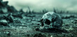 A skull is laying on the ground in a desolate, barren landscape. The skull is surrounded by dirt and rocks, and the overall scene is eerie and unsettling