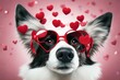 'paw celebrating valentine white romance valentines s border concept collie shaped dog day puppy st postcard love funny isolated background red waving heart glasses lovesick nubes goggles party'