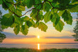 Beautiful green leaves frame a sunset background with the sun and sea in the summer time