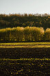 Outdoors vertical landscape shot of fields and hills in spring on a beautiful sunny day.
