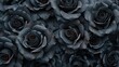 A close-up view of beautiful dark roses covered in fresh water droplets, highlighting intricate petal details and rich textures