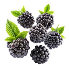 blackberry with leaves, 3d blackberry and slices of blackberry floating isolated white background