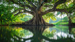 a magnificent banyan tree standing tall with its extensive roots submerged in tranquil water
