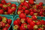Fototapeta Uliczki - A close-up of ripe organic strawberries in baskets during the summer