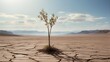 A barren, desolate wasteland where the only sign of life is a single, resilient plant, struggling to survive against the harsh elements and unforgiving landscape.
