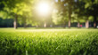 Beautiful spring summer natural landscape. Green meadow or city park grass, trees and sunlight background, on warm sunny morning day. Colorful bright nature wallpaper with copy space for text.