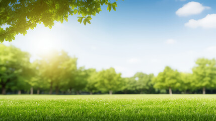 Beautiful spring summer natural landscape. Green meadow or city park grass, trees, on blue sky, clouds, sun background, on warm sunny day. Colorful bright nature wallpaper with copy space for text.