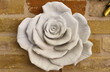 Rosa bianca ornamentale appesa a un muro di mattoni in gesso e marmo  