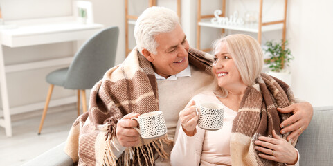 Canvas Print - Happy elderly couple resting at home