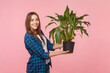 Side view portrait of smiling attractive brown haired woman holding flowerpot, showing beautiful green plant, wearing checkered shirt. Indoor studio shot isolated on pink background.