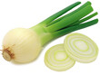 Fresh leek with slices isolated on a white background, displaying the vegetable's layers and green stems.