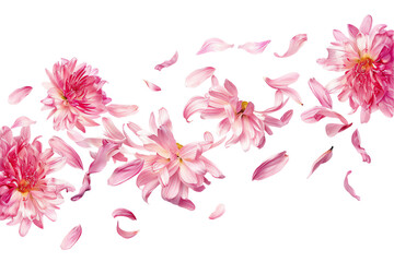 Wall Mural - a bouquet of pink blossoms with delicate petals flew