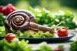 'salatblatt schnecke slug varmint counteract spanish red homelike nature animal snail garden pest control slow feeler crawl free'