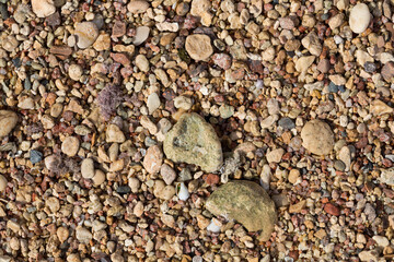 The coastline of the Red Sea. Sand, pebbles, corals, fossils. Background with a marine theme.