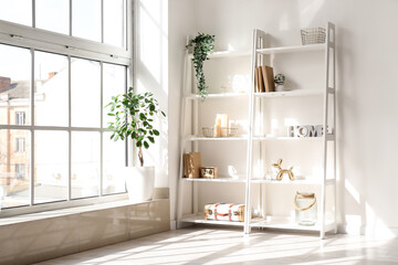 Shelving unit, window and houseplants near white wall in light room