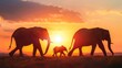 shadow of an elephant family walking with the sun in the background on a beautiful sunset in high resolution and quality