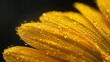 A highly magnified image of a vibrant yellow flower petal with tiny specks of pollen clinging to its surface like precious glitter.