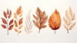 Watercolor autumn leaves set isolated on white background. Hand drawn vector illustration.