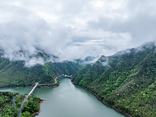 Wall Mural - view of the river