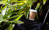 Fototapeta Młodzieżowe - paper cup of coffee in green garden