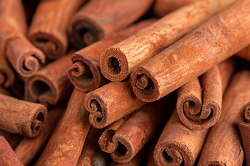 Wall Mural - Close up of cinnamon sticks square format spice essence