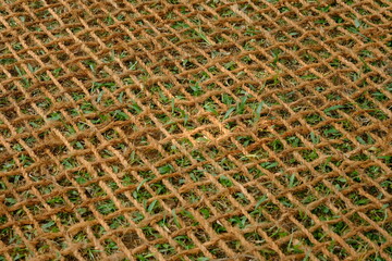 aring sabut kelapa, coconut coir net. made of woven coconut coir rope. This net is useful for mine reclamation and reclamation of the environment damaged by humans.