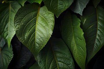 Wall Mural - leafy background, nature background, leaf texture Generative AI