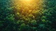 earth day eco concept with tropical forest background natural forestation preservation scene with canopy tree in the wild concept on sustainability and environmental renewable stock image
