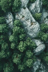 Wall Mural - Drone footage - bird’s eye view - overhead shot - mountain - forest nature - road  - rocks - stone 