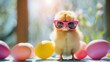 A fluffy yellow baby chicken is wearing sunglasses and standing in front of a blue background with multicolored Easter eggs scattered around it.

