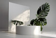 'leaves Empty mockup 3d shadows cosmetic stand Blank tropical podium product White rendering presentation poduim pedestal dais platform racked shadow scene stage plant palm tree'