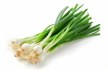 Poster - Green onion on white background