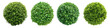 Collection of green garden bush round shape cutout clipping path png isolated on white or transparent background