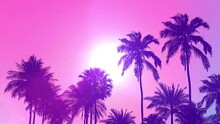 Tropical Background. Palm Tree Silhouettes On A Gradient Background. Seamless Looping Overlay 4k Virtual Video Animation Background