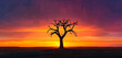 The silhouette of a single, ancient tree standing on a vast, open plain at sunset. 32k, full ultra hd, high resolution