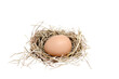 A single egg nestled in a nest of straw isolated on transparent background