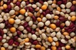 'seamless texture legumes background legume bean lentil pea collection various mix different food wooden bowl agriculture assortment round beluga speckled kidney pinto soy chickpea white yellow black'